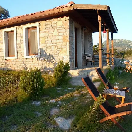 Tsira * Mesudiye (Datca)