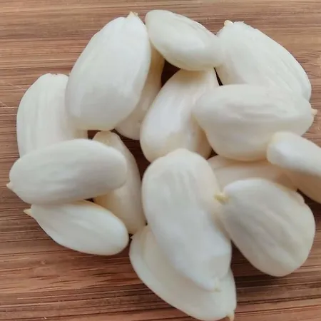 Tsira ホテル Mesudiye