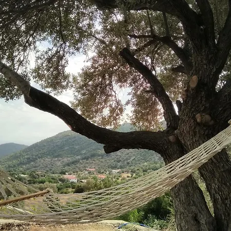 Otel Tsira