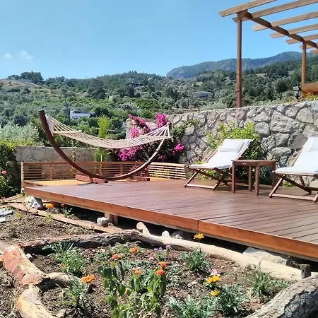 Tsira