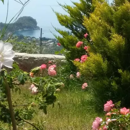 Tsira Hotel *